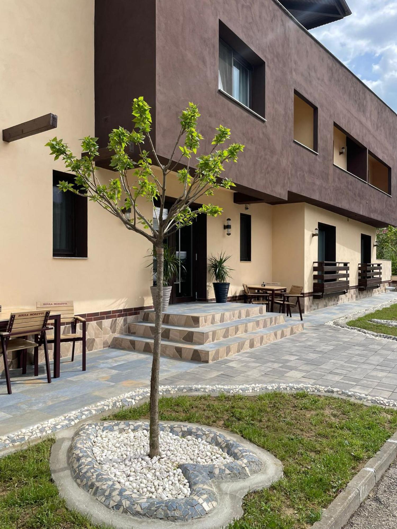 Maison d'hôtes Pensiunea El Ryo 1